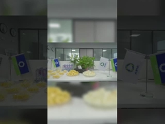 Badan Eksklusif Soilmec untuk Wilayah Tiongkok